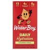 Waterboy, 일상 수분 공급, 전해질 드링크 믹스, 오이 시트러스, 스틱팩 12개, 개당 3.2g(0.11oz)
