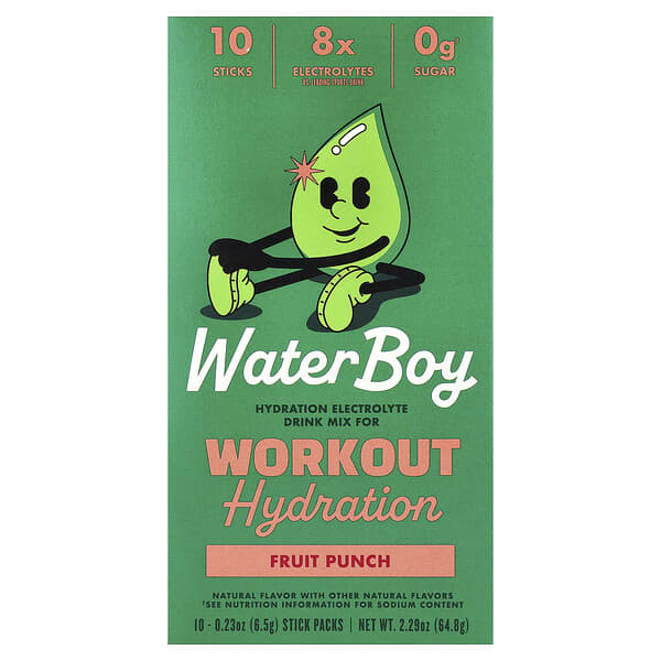 Workout Hydration, Electrolyte Drink Mix, Fruit Punch, 10 Stick Packs, 0.23 oz (6.5 g) Each