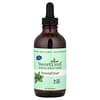 Wisdom Natural, Endulzante de estevia, SteviaClear®, 120 ml (4 oz. líq.)