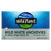Wild White Anchovies In Extra Virgin Olive Oil, 4.4 oz (125 g)
