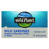 Wild Sardines, Skinless & Boneless Fillets in Water, 4.25 oz (120 g)
