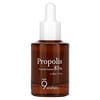 Propolis Extract 81%, 1 fl oz (30 ml)