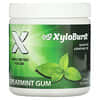 Xyloburst, Xylitol Chewing Gum, Spearmint, 5.29 oz (150 g), 100 Pieces