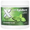 Xyloburst, Xylitol Gum, Groene Munt, 100 Stuks, 5.29 oz (150 g)