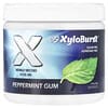 Xyloburst, Xylitol Gum, Peppermint, 100 Pieces, 5.29 oz (150 g)