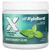 Xylitol Gum, Wintermint Gum, 100 Pieces, 5.29 oz (150 g)