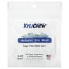 Xylichew, Natural ice Mint, 50 Pieces, 2.29 oz (65 g)