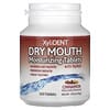 Dry Mouth Moisturizing Tablets with Xylitol , Cinnamon, 100 Tablet