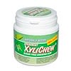 Spearmint XyliChew, Sugar Free Chewing Gum, 100 pcs