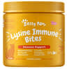 Lysine Immune Bites for Cats, Immune Support, All Ages, Salmon, 60 Soft Chews, 3.1 oz (90 g)