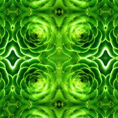 5e6c124d-1e78-4da6-a061-3e56d72bc4f7