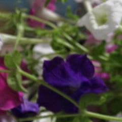 617a22de-5695-4d3e-b885-bc8907f89539