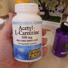 acetyl l carnitine Superior Labs Nutricost ALCAR500 180 180