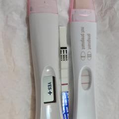 d5d2bcd1-e93c-4d61-96b5-5c5ad7e0f9ff