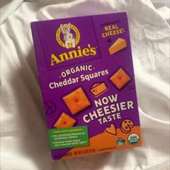 オーガニックチェダースクエア、ベイクドスナッククラッカー、213g