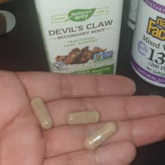 Nature's Way, Devil's Claw, 350 Mg, 90 Vegan Capsules - Supply Center USA