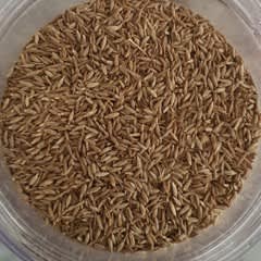 Frontier Natural Organic Ground Cumin | 1.76 Ounce Jar | Non-GMO Certified Cumin Seed Spice