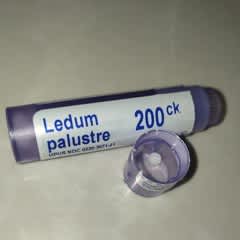 bb212a28-2f64-4316-a338-eae35c841460