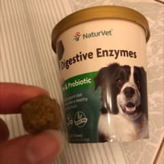 Daily Dog Probiotic Powder - 30 Servings For Digestion, Diarrhea Support With Pre/Probiotics