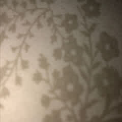 297dfead-66e1-44c1-8f3e-70e8bfece8b6