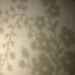 3afa23aa-02cd-4d27-9d4b-ca57c7aa66a5
