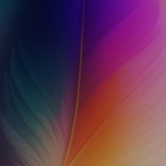 1c35e840-851f-4e52-887e-33c0be8d7518