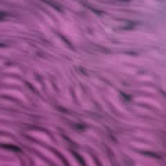 ed8d6c4d-2a1c-4e5f-83a6-9d866b92a597