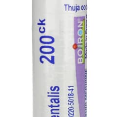 thuja smaragd topfware Thuja 