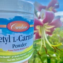 canadian protein acetyl l-carnitine powder reviews 500 mg Capsules Acetyl L-Carnitine Powder: Optimize Brain