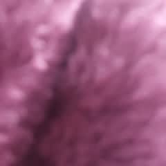 8b06e51a-2993-42a2-b633-06b89f3c9fe5
