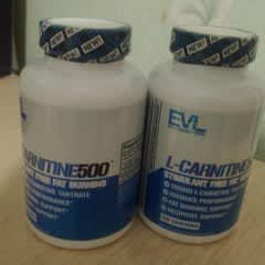 Page 1 - Reviews - EVLution Nutrition, L-Carnitine500®, 500 mg, 120  Capsules
