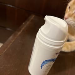 ソリューションズ、ディオスコレアビロサ由来プロゲステロン
