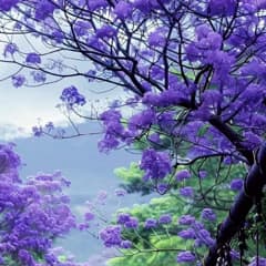 14d6fe4b-5f09-4d8b-ac5e-303704615c76