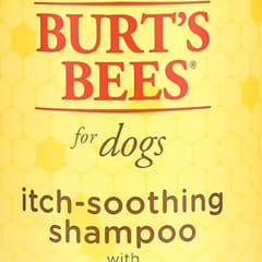 burt's bees for dogs itch soothing shampoo review