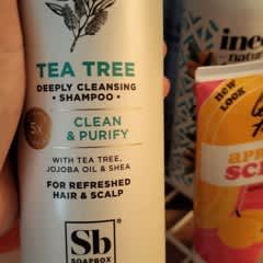 シャンプー jt 撥水カーシャンプー BRASH ウォータープルーフ 洗浄 ワックス