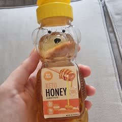 honeyです(^^)/ 681 Series - All About Japanese Trains