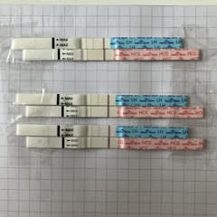 6e077e36-0de7-45ca-a276-35ab9f498602