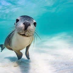 1f59243a-58fc-4fa0-af98-1dac5bf4bf55