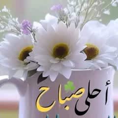 a3680e59-2bd8-4eeb-9baf-7f83325d8466
