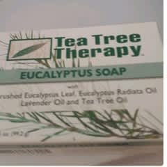 ティートゥリーユーカリプタス ページ 1 - レビュー - Tea Tree Therapy（ティーツリーセラピー