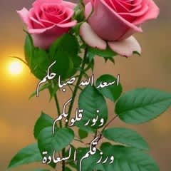 0b96c5ad-123e-402b-8c6b-bdb4ef4ee1db