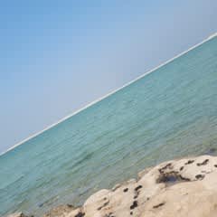 955d649e-b0eb-48c3-94dd-350a369beca4