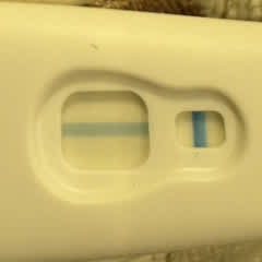 27ee0926-6941-496f-b359-bfe5953530f6