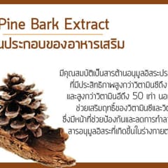 c81e055c-d506-4a03-9f9f-e5554f7c9726