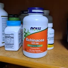 noix エキナセア確認用 noix様専用 エキナセア確認用