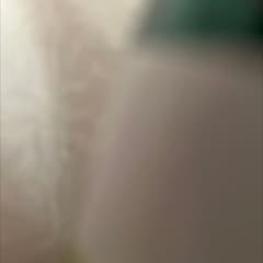 67ee24b5-636e-4bfa-9ad7-ac9a204159d3