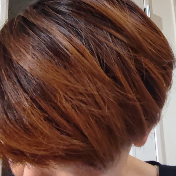 レインボーヘナ ダークブラウン・ミディアムブラウン 12個セット