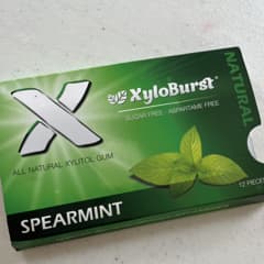 ページ 1 - レビュー - Xyloburst（ザイロバースト）, キシリトール