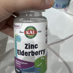 Page 1 - Reviews - KAL, Dinosaurs®, Zinc Elderberry, Mixed