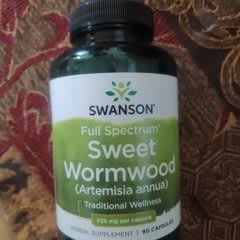 クソニンジン 30g✖️２袋 クソニンジン - Wikipedia